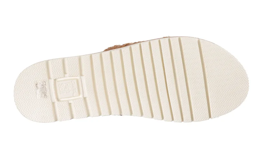 Ara Crissto Bronze