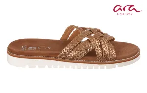 Ara Crissto Bronze