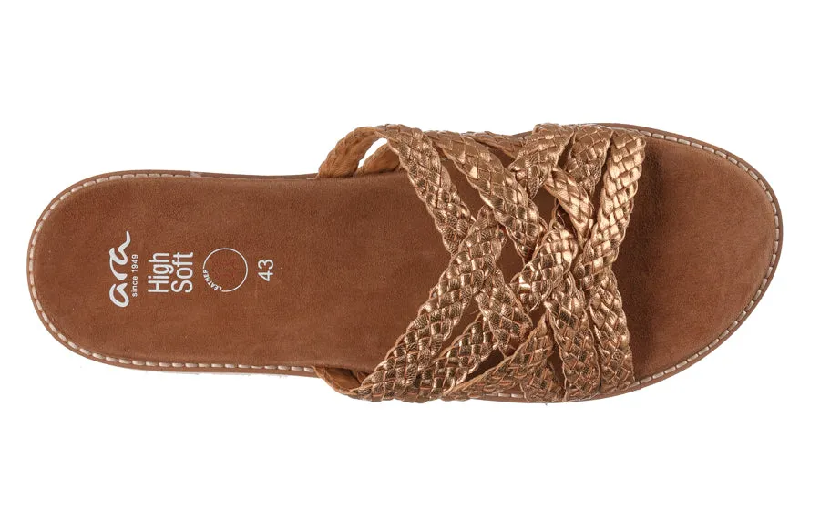 Ara Crissto Bronze