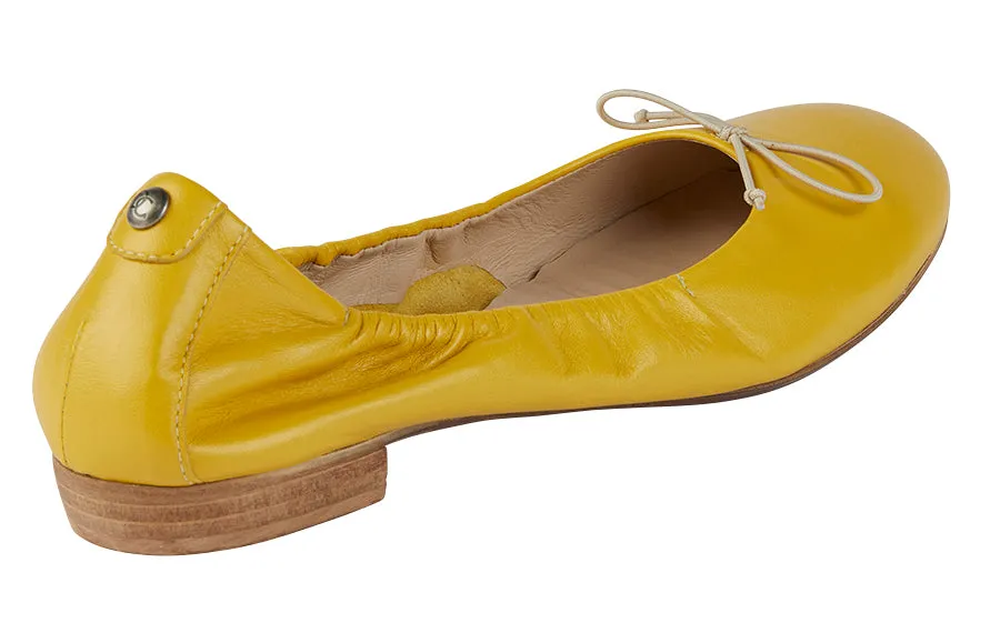 Don Pascal Yellow
